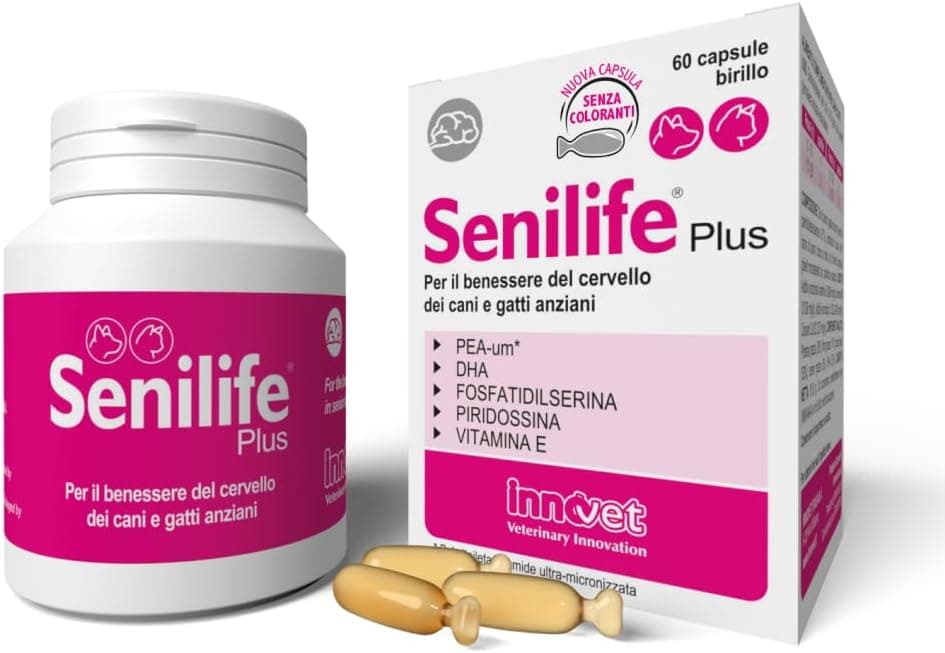 Senilife Plus complément chien âgé soutien cognitif